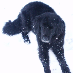 Princesse dans la neige